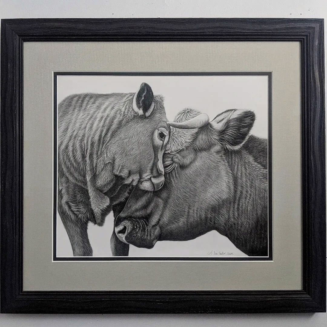 A Tammy Liu-Haller - "Beloved" black and white drawing of two cows kissing, rendered beautifully with graphite on paper by Tammy Liu-Haller.