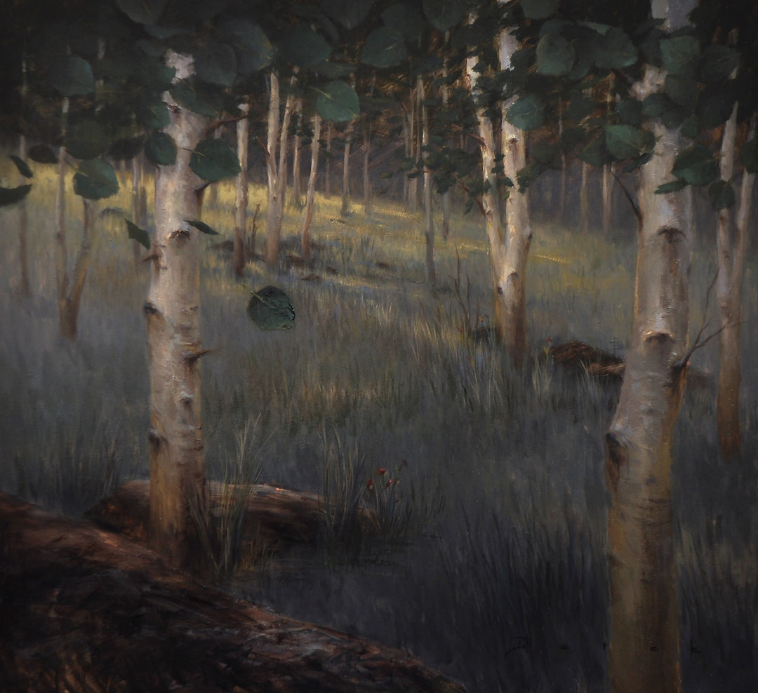 An oil on linen painting of a forest with trees and grass by Derek Harrison - "Shady Grove", inspired by the serene beauty of Shady Grove.