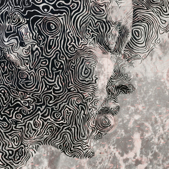 An image of a woman's face with swirls on it using Ed Fairburn | "Chaplygin Crater" paper.