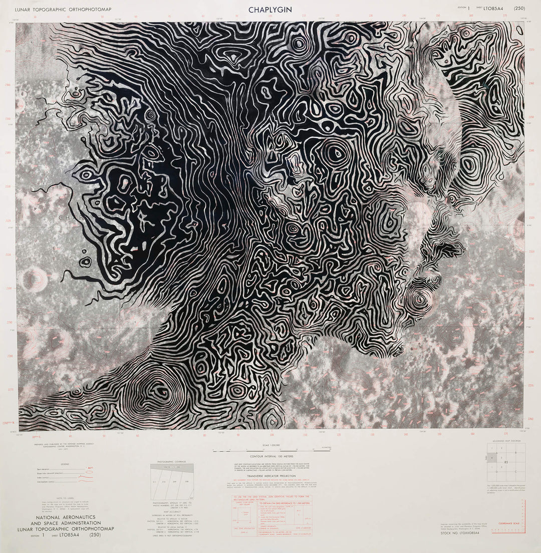 An "Ed Fairburn | Chaplygin Crater" print of a woman's head with a pattern on it inspired by NASA Lunar Map.