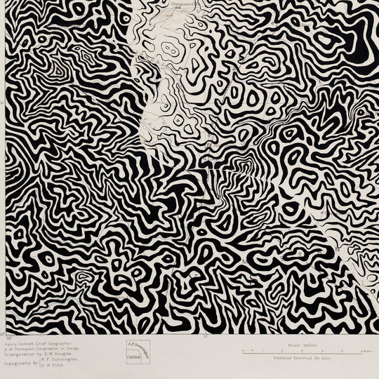 A black and white drawing of a woman in a swirling pattern inspired by Ed Fairburn's "Austin, Texas" lunar maps.