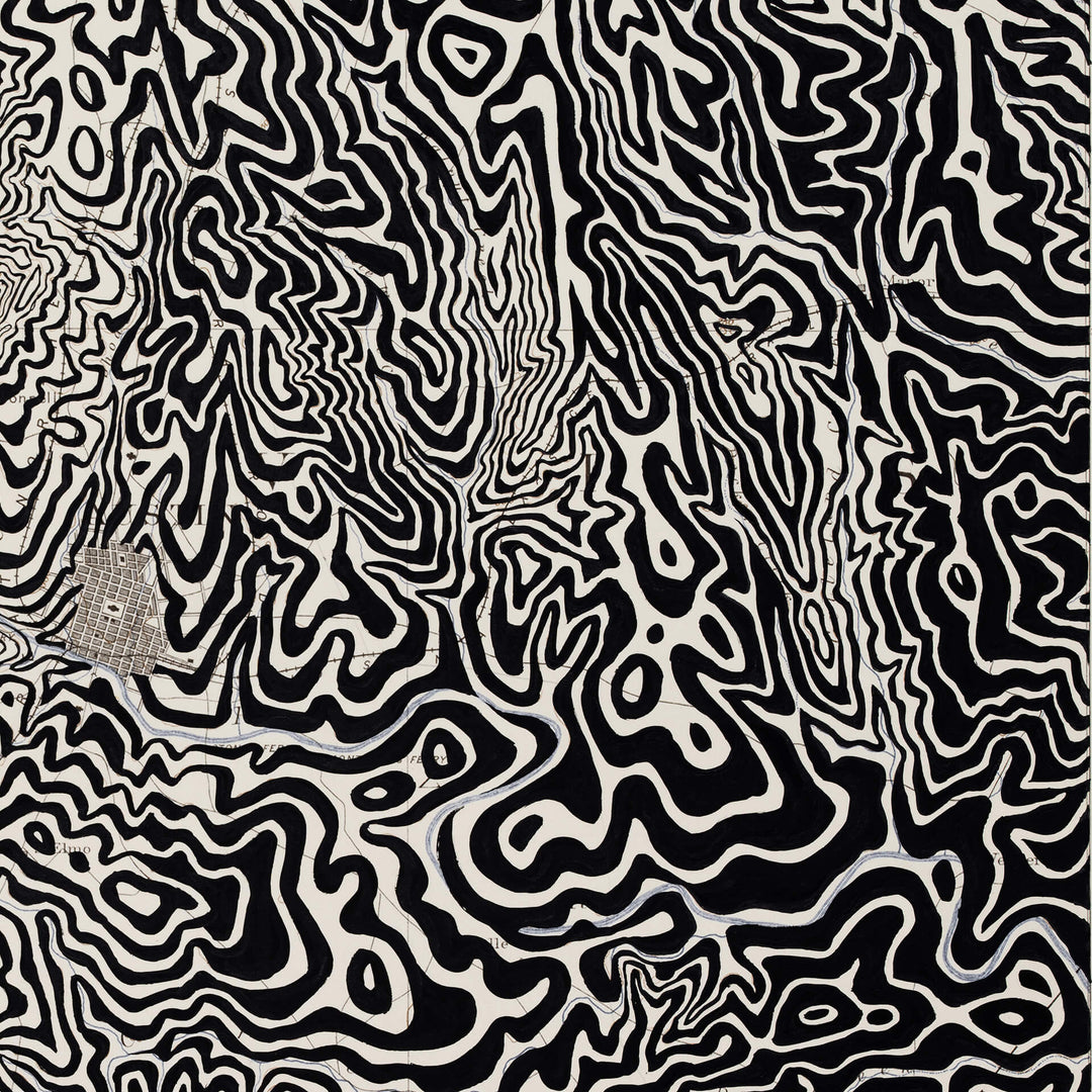 An artist's "Ed Fairburn | Austin, Texas" black and white painting with swirls resembling a Lunar Map.