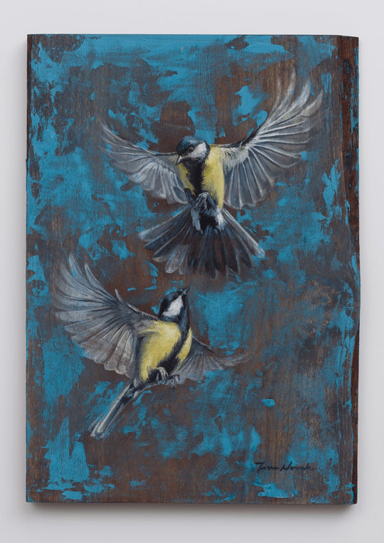 Birds in Flight by Terra Novak - Abend Gallery - Terra Novak