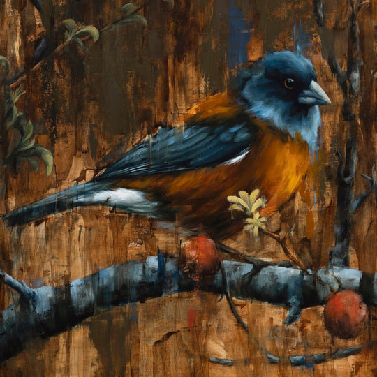 Break From Flight by Morgan Cameron - Abend Gallery - Morgan Cameron
