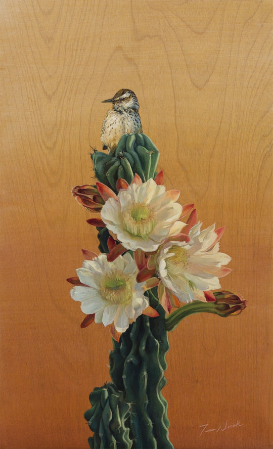 Cactus Wren and Desert Bloom by Terra Novak - Abend Gallery - Terra Novak