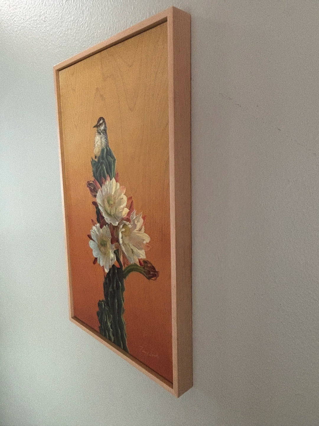 Cactus Wren and Desert Bloom by Terra Novak - Abend Gallery - Terra Novak