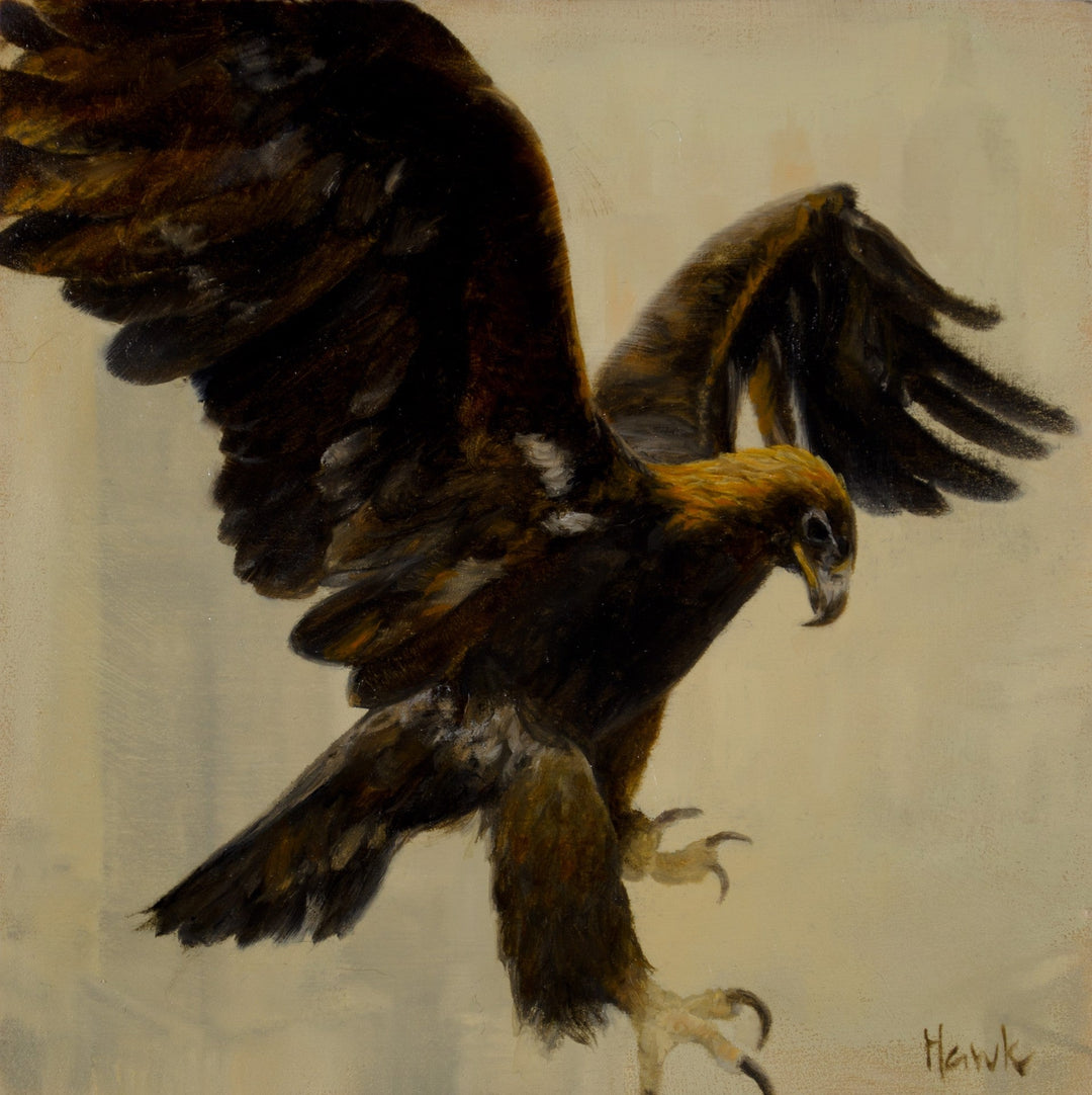 City Eagle by Dana Hawk - Abend Gallery - Dana Hawk