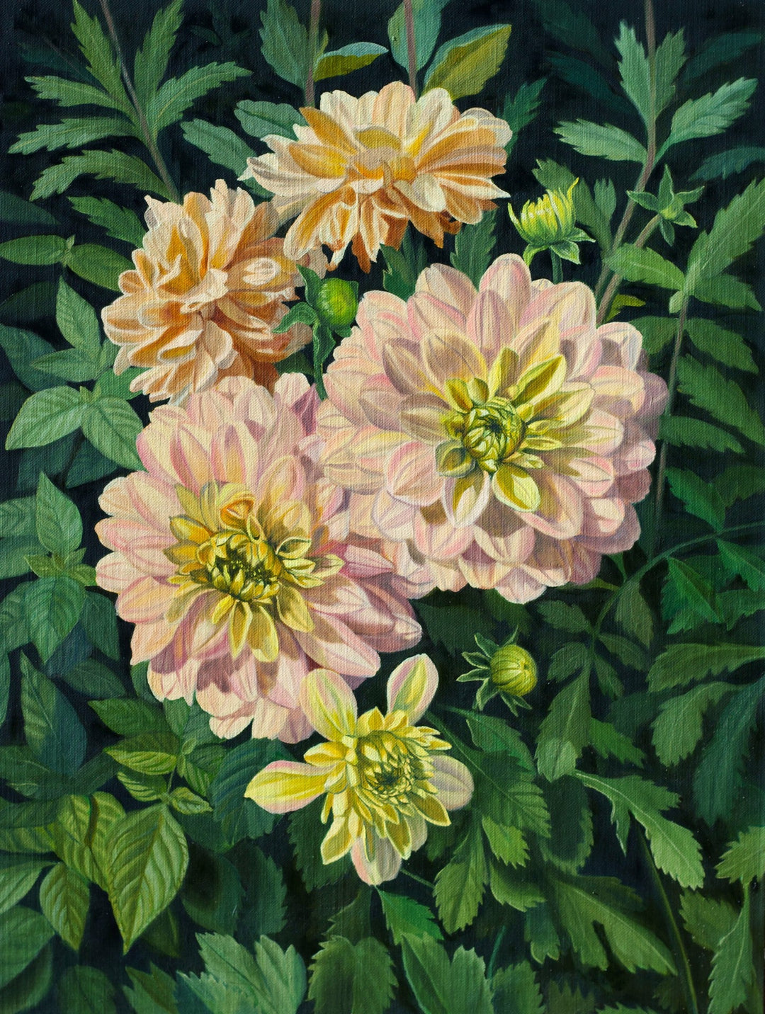 Dahlias in Bloom by Robin Hextrum - Abend Gallery - Robin Hextrum