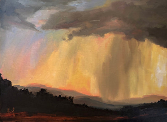 Desert Rain by Leigh Ann Van Fossan - Abend Gallery - Leigh Ann Van Fossan