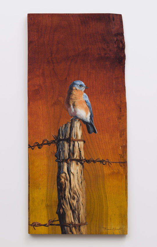 Evening Perch by Terra Novak - Abend Gallery - Terra Novak