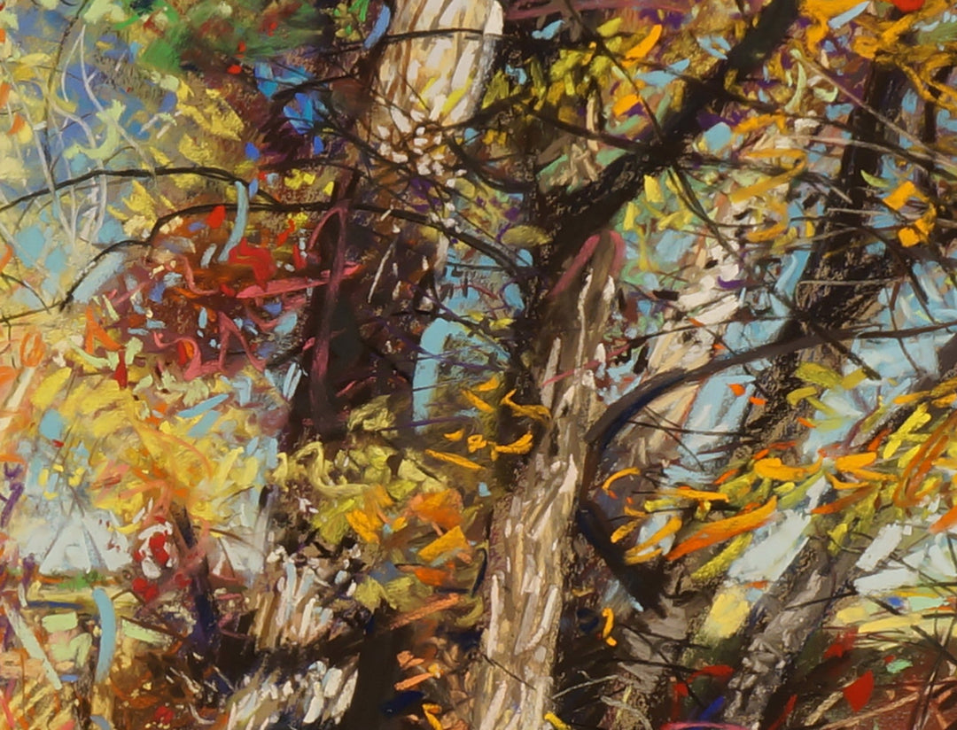 Fall Afternoon on the Poudre by Jeff Slemons - Abend Gallery - Jeff Slemons