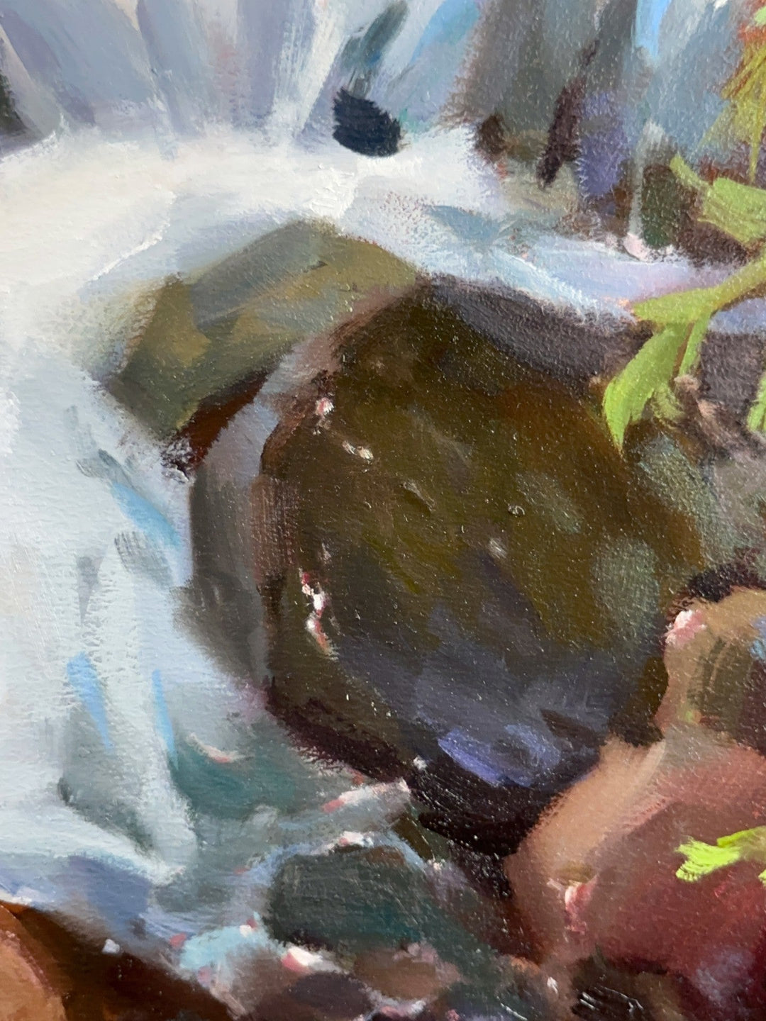 Life Springs Forth by Judd Mercer - Abend Gallery - Judd Mercer