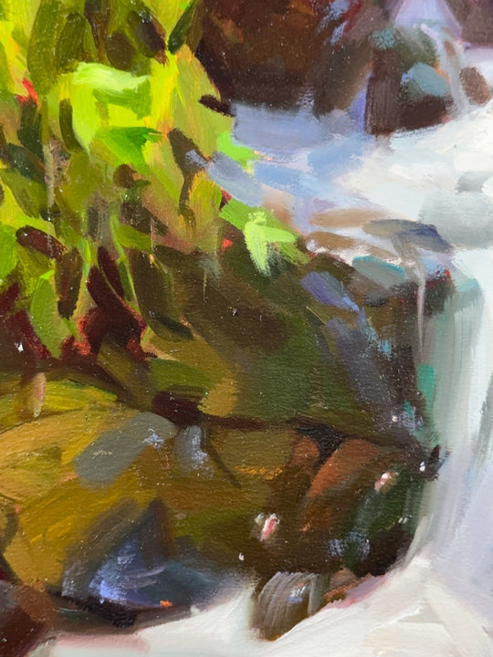 Life Springs Forth by Judd Mercer - Abend Gallery - Judd Mercer