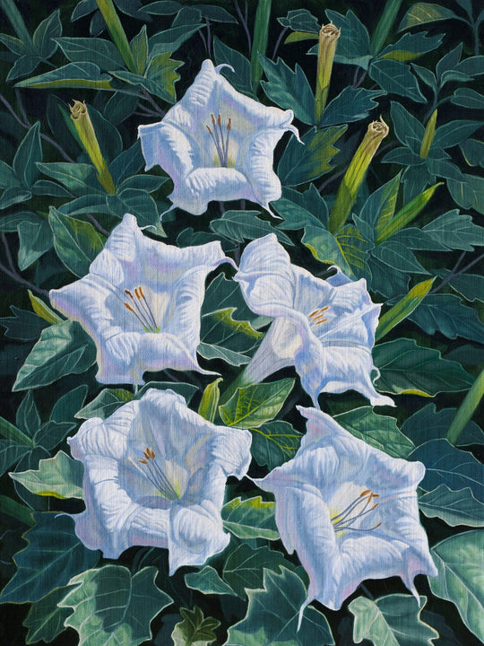 Moon Flowers by Robin Hextrum - Abend Gallery - Robin Hextrum