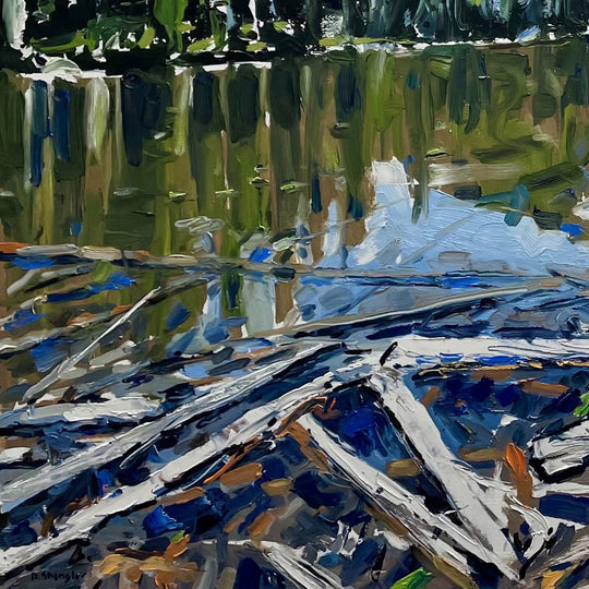 Nymph Lake, Rocky Mountain Park, CO by David Shingler - Abend Gallery - David Shingler