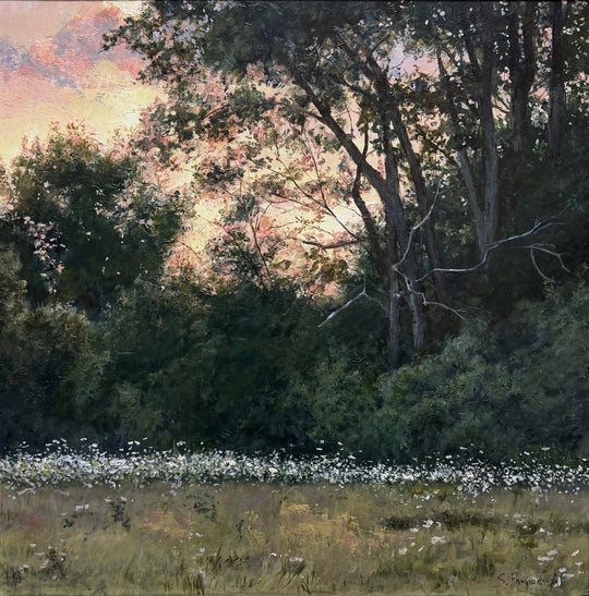 Queen Anne’s Lace by Sheri Farabaugh - Abend Gallery - Sheri Farabaugh