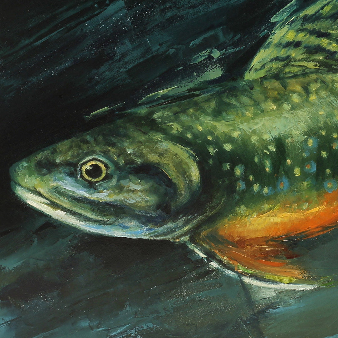 Rainbow Trout by Morgan Cameron - Abend Gallery - Morgan Cameron