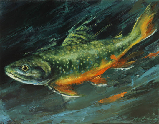 Rainbow Trout by Morgan Cameron - Abend Gallery - Morgan Cameron