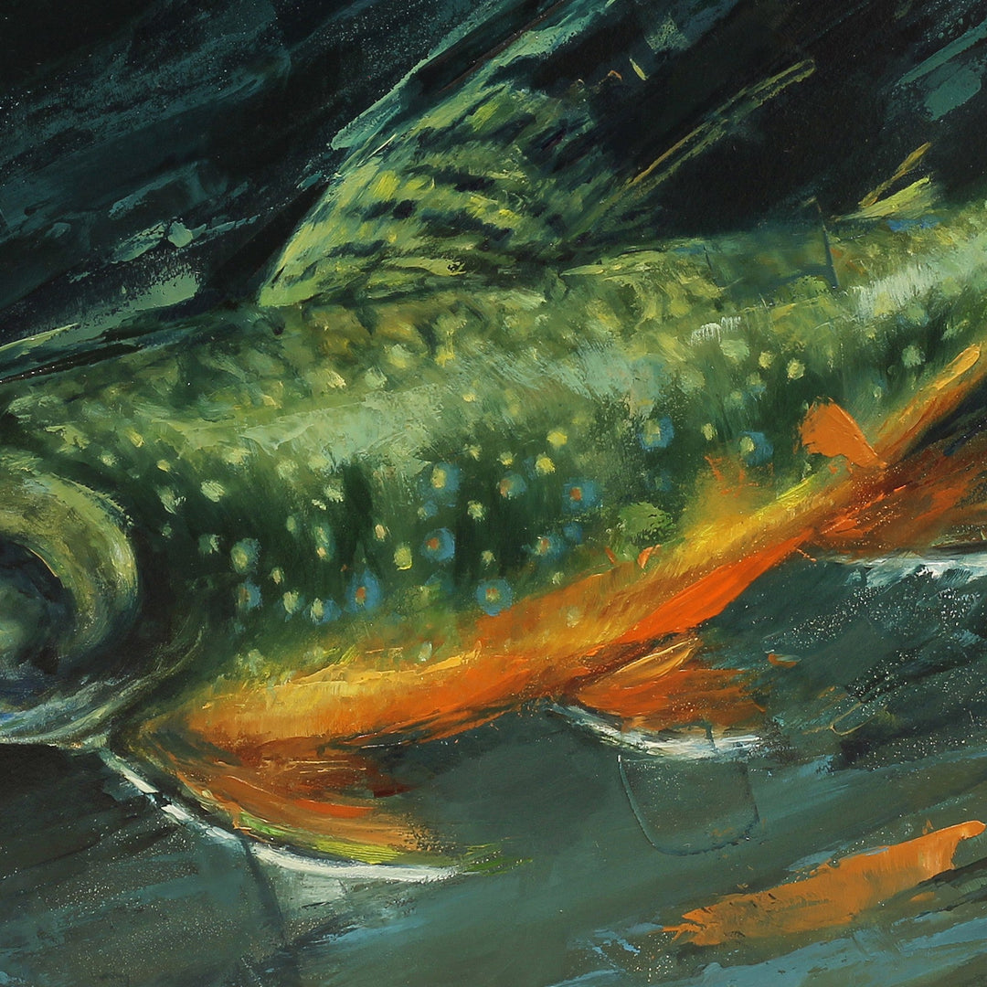 Rainbow Trout by Morgan Cameron - Abend Gallery - Morgan Cameron