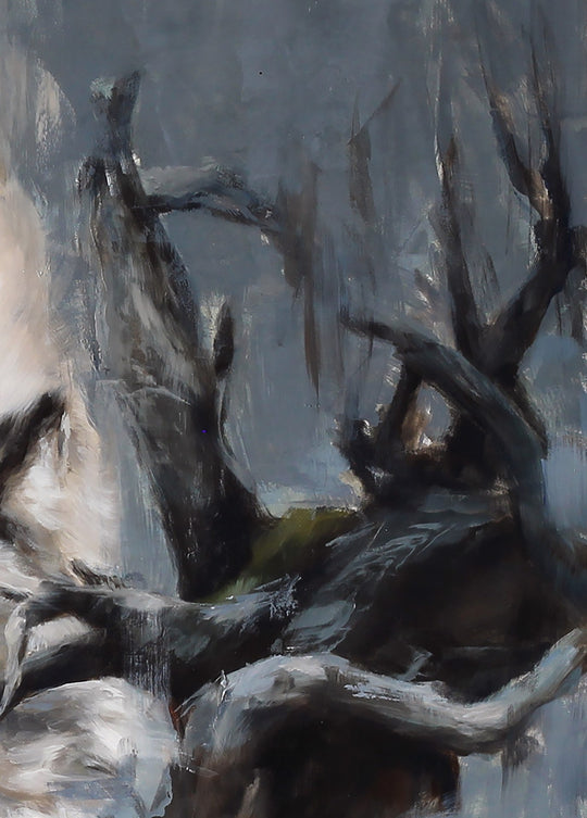 Shade and Shadow by Morgan Cameron - Abend Gallery - Morgan Cameron