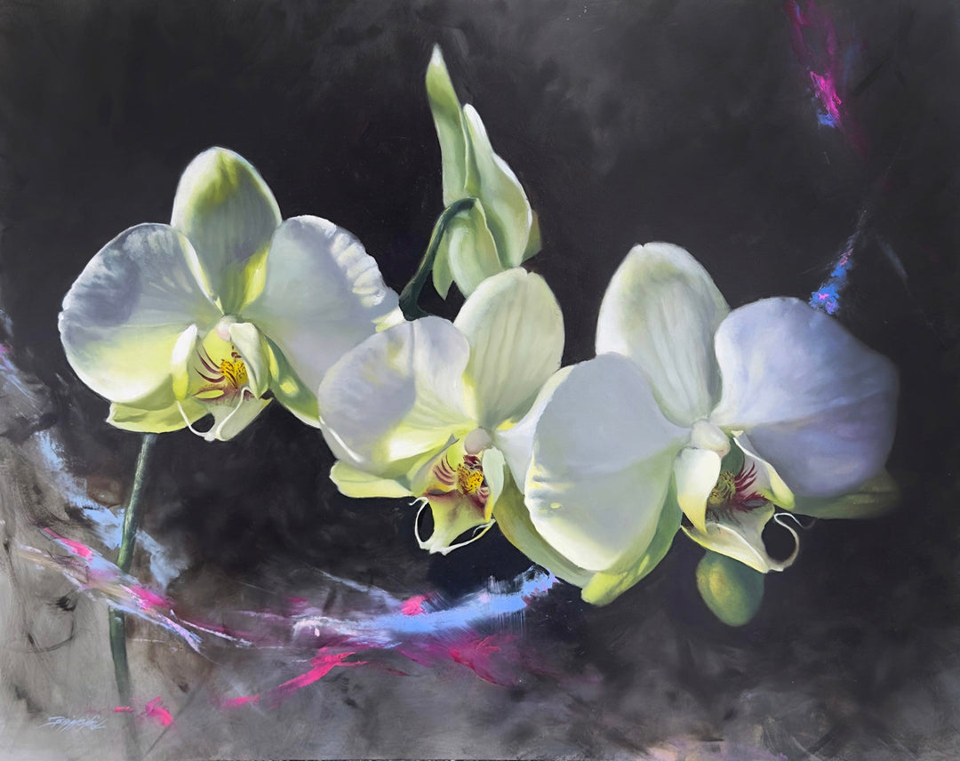 Starlight by Brian O&