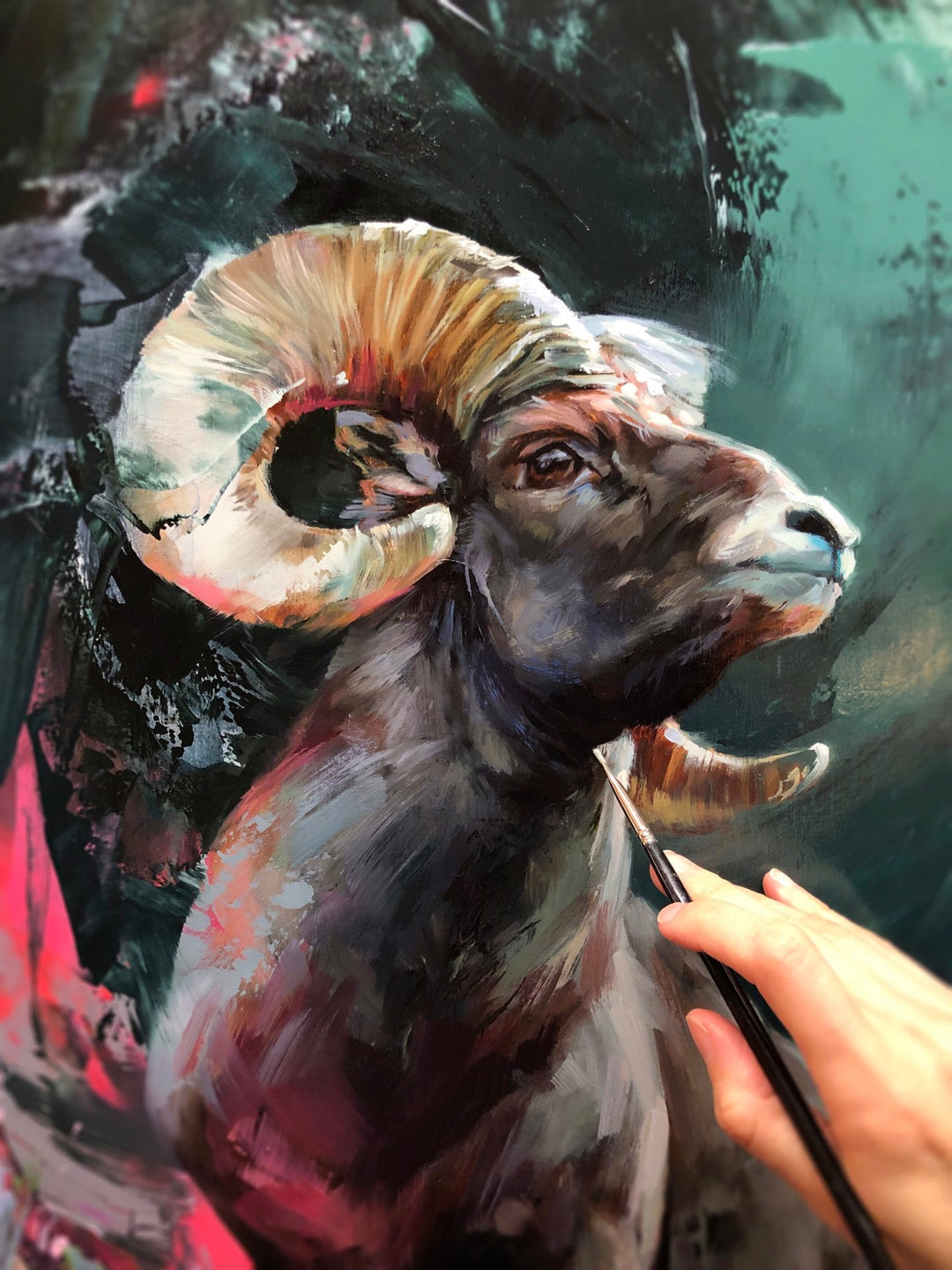 The Rocky Mountain Bighorn Sheep by Lindsey Kustusch - Abend Gallery - Lindsey Kustusch