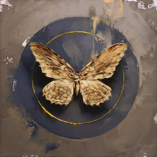 The White Witch Moth by Lindsey Kustusch - Abend Gallery - Lindsey Kustusch