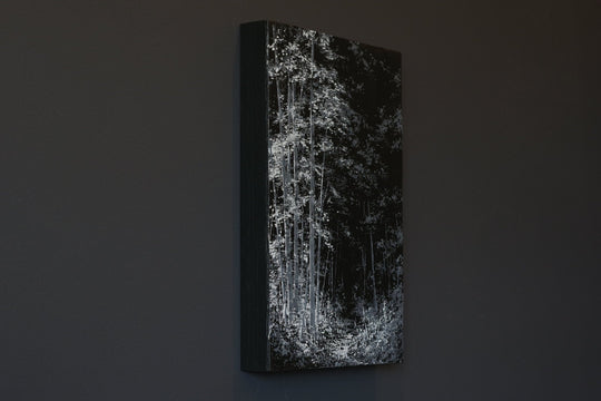 Unknopening by Todd Carpenter - Abend Gallery - Todd Carpenter