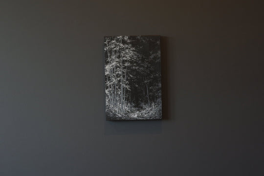Unknopening by Todd Carpenter - Abend Gallery - Todd Carpenter