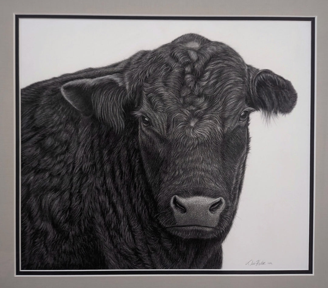 An artistically rendered black and white drawing of a cow by Tammy Liu-Haller, created using graphite on paper titled "Stand Down" by Tammy Liu-Haller.