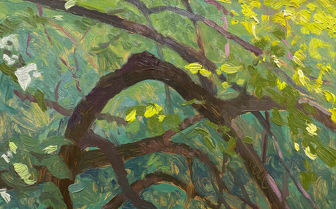 An oil painting by Brad Davis of a tree in the woods, depicting "Spring Leaves" by Brad Davis.