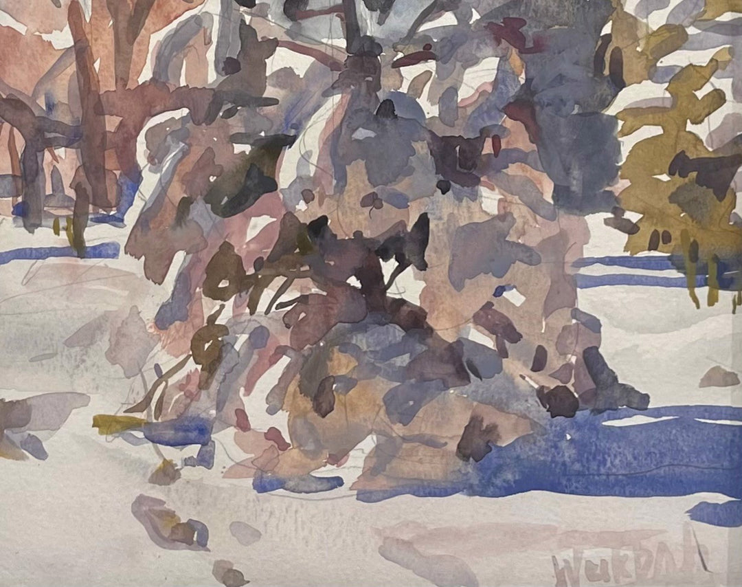 Kevin Weckbach's watercolor painting beautifully depicts a snow covered tree, showcasing the delicate beauty through Kevin Weckbach - "Shadow Lace". The artwork is of significant size, capturing the viewer's attention.
