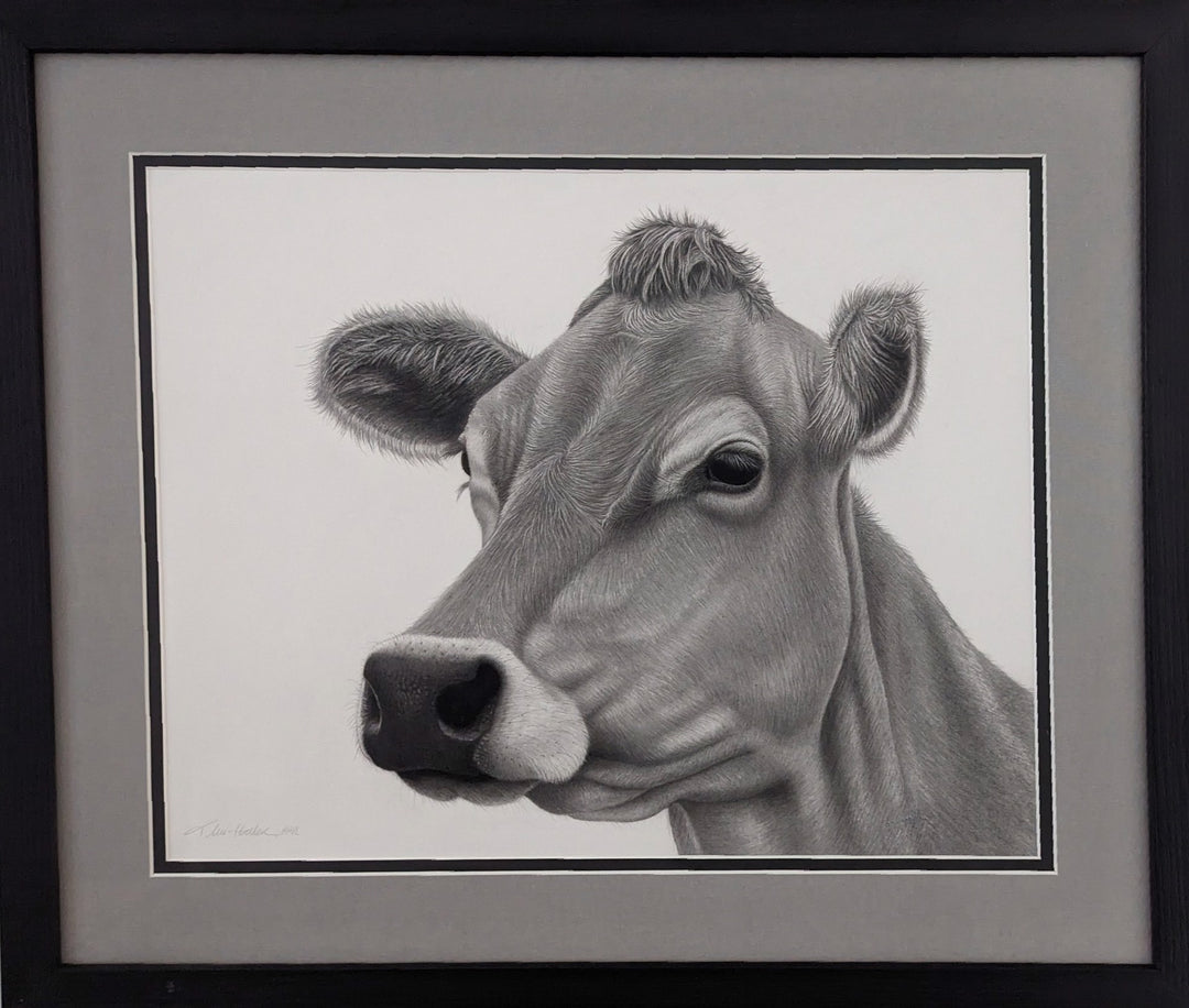 A "Tammy Liu-Haller - 'Jersey Girl'" graphite on paper drawing of a Jersey Girl cow, beautifully displayed in a black frame.
