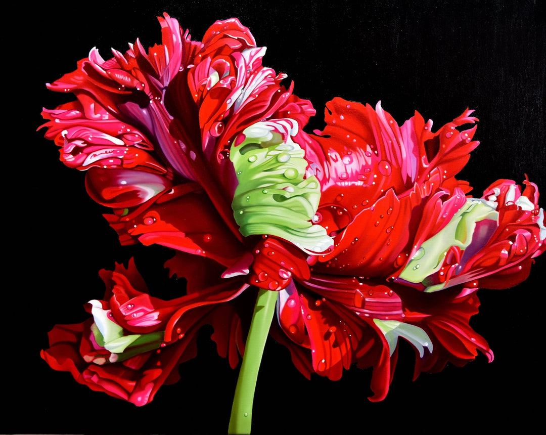 Suzy Smith | "Tulip Fever" | 8.5 x 11" - Abend Gallery - Suzy Smith