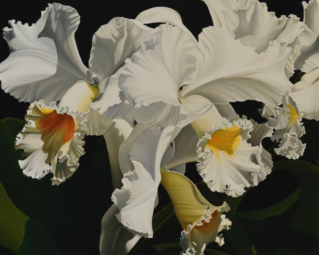 Suzy Smith | "White Cattleya Orchids" | 8.5 x 11" - Abend Gallery - Suzy Smith