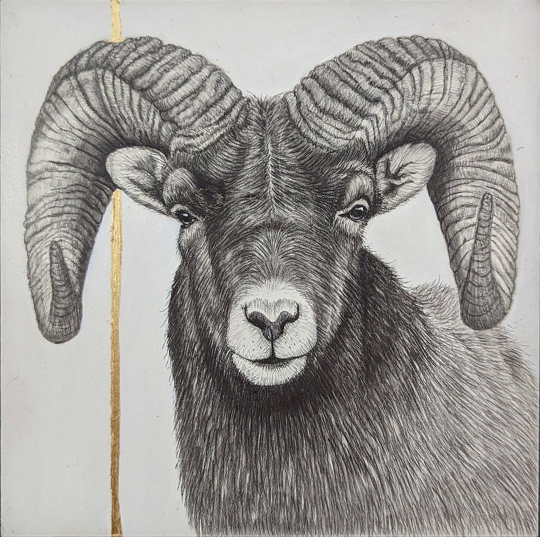 Tammy Liu - Haller - "Ram" - Abend Gallery - Tammy Liu - Haller