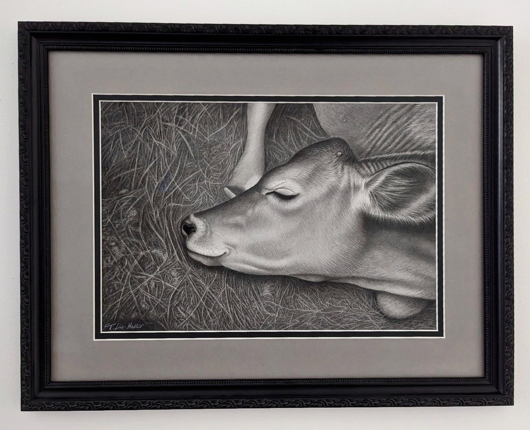 Tammy Liu - Haller - "Sleepyhead" - Abend Gallery - Tammy Liu - Haller