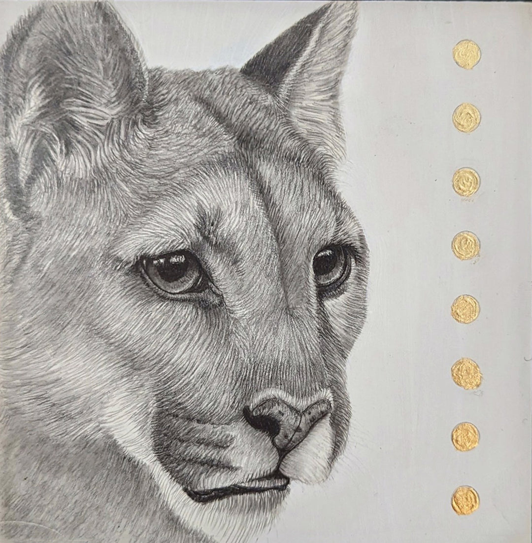 An artist's depiction of Tammy Liu-Haller - "Cougar" in graphite.